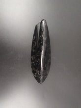 Load image into Gallery viewer, Carbon Shark Antenna Cover
