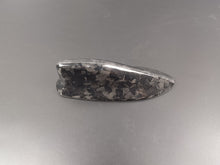 Load image into Gallery viewer, Carbon Shark Antenna Cover
